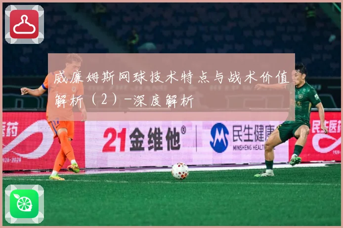 威廉姆斯网球技术特点与战术价值解析（2）-深度解析