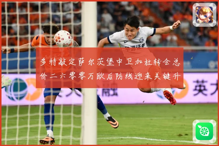 多特敲定萨尔茨堡中卫加杜转会总价二六零零万欧后防线迎来关键升战术观察-深度解析