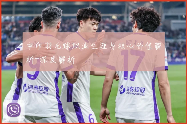 中印羽毛球职业生涯与核心价值解析-深度解析